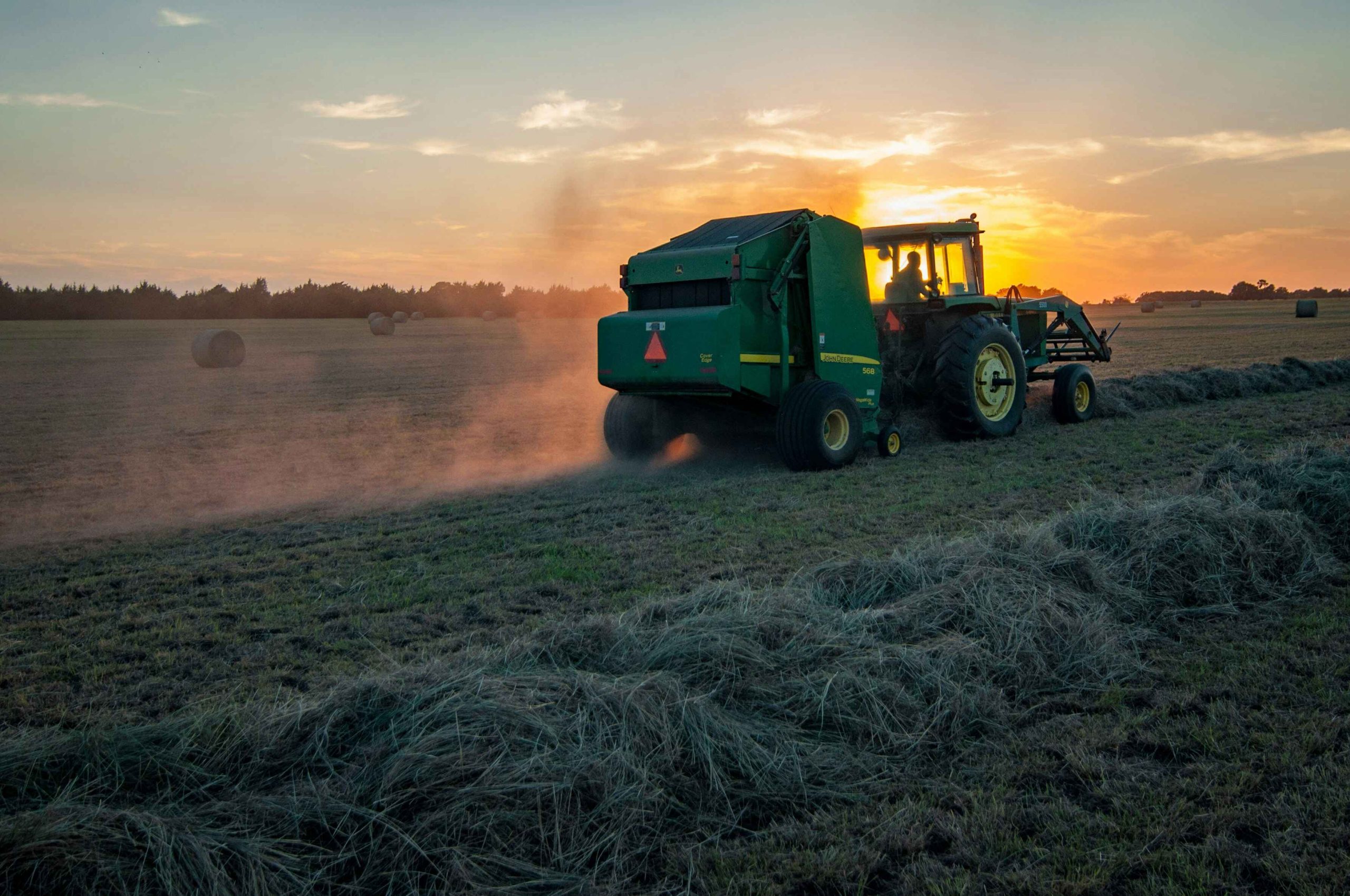 Agribusiness