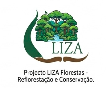 floresta