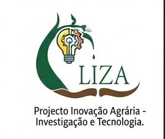 investigacao